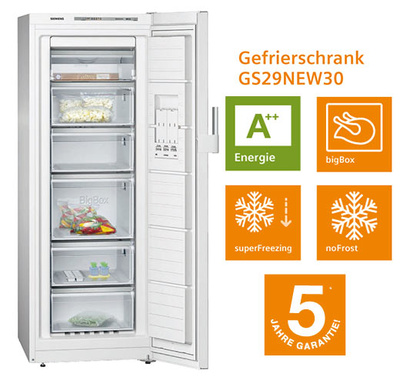 gs29new30_400